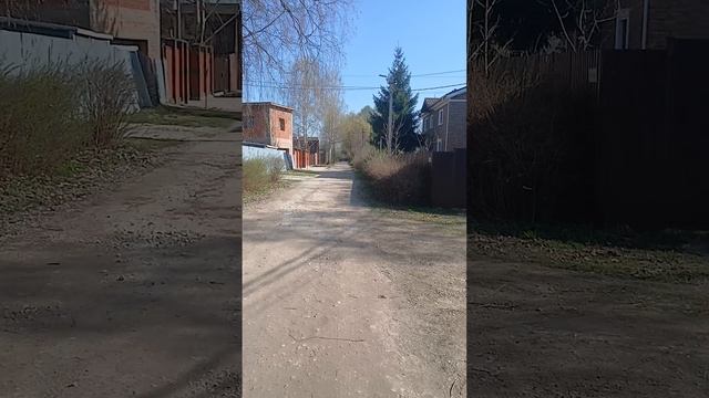 Солнечная прогулка
