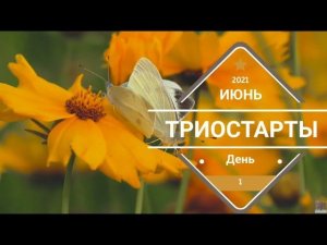#триостарты_июнь Детское летнее платье День 1