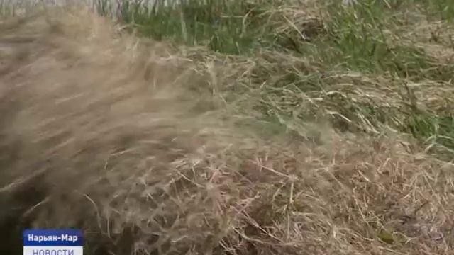 ВСЕРОССИЙСКИЙ СУББОТНИК смотреть онлайн