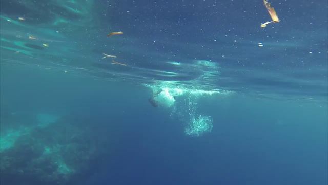 Panglao Bohol Philippines 2015 смотреть онлайн