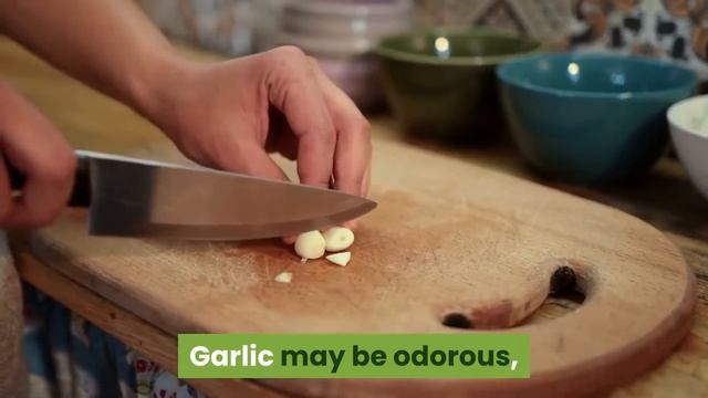 NATURAL FUNGUS FIGHTERS