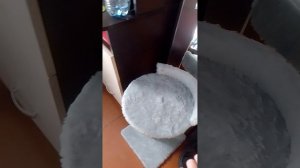 //.-гача + реальность!.🌏//1 часть