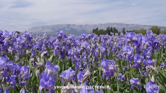 Рекламный ролик | FMC ADV | faberlic bloom смотреть онлайн