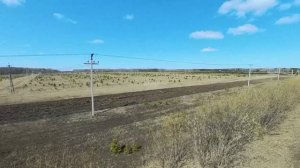 6817832, Кулина 2