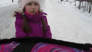 Зимний парк. Зимняя прогулка. Прогулка по зимнему парку 31.12.24. Русские горки