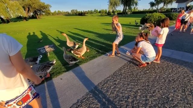 Встреча с Юлей она оценила смотреть онлайн