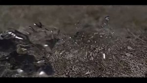 S.t.a.l.k.e.r Аномалия Серебрянка