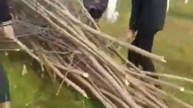 Осенняя уборка территории ЛТЭТ.28.10. 2020 г. смотреть онлайн