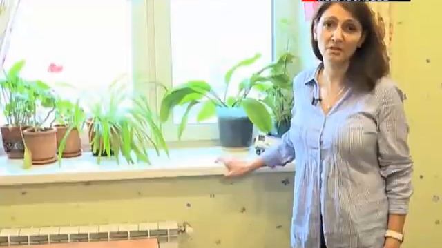 НОВОСТИ ПОДМОСКОВЬЯ: ВОКРУГ СТРОИТЕЛЬСТВА ЭСТАКАДЫ В РЕУТОВЕ РАЗГОРЕЛСЯ СКАНДАЛ