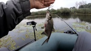 ОТ ЭТИХ ПОКЛЕВОК ДУХ ЗАХВАТЫВАЕТ! Рыбалка на  удочку с боковым кивком в кувшинках