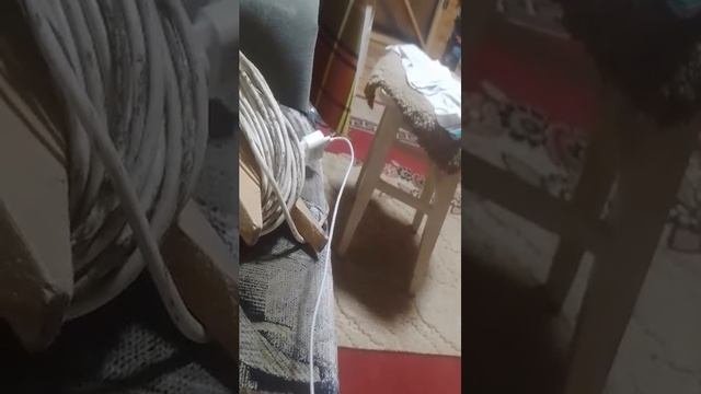 саша