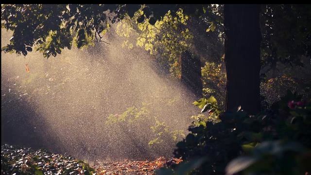 Raining Love смотреть онлайн