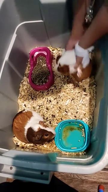 6 de abril de 2023 смотреть онлайн