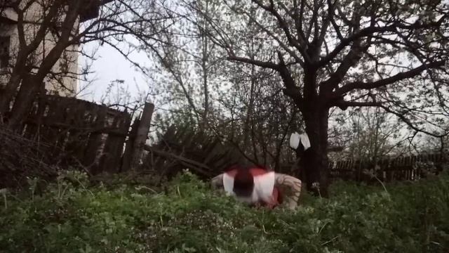 Первая тренеровка на улице плюс немного философииС26