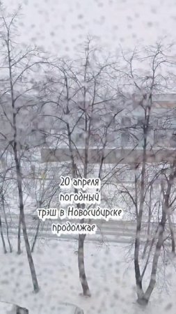 Погодный трэш в Новосибирске