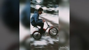 Вилли-Стант