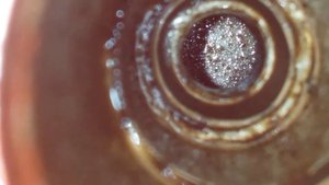 Раскоксовка змз-406 средством Про Терра 100