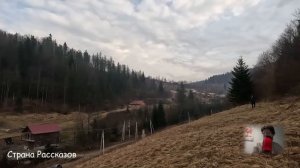 После свадьбы свекровь примчалась с чемоданом, но вечером невестка её озадачила....