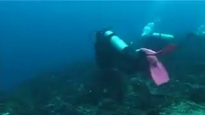 Tania Haws: Diving with sharks; Wolf Island, Galapagos