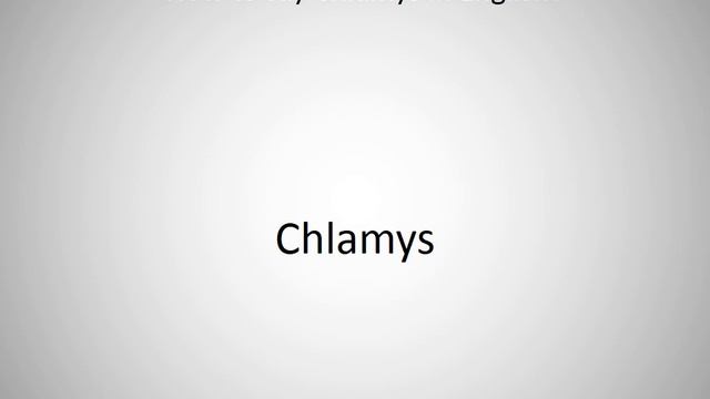 How to say Chlamys in English? смотреть онлайн
