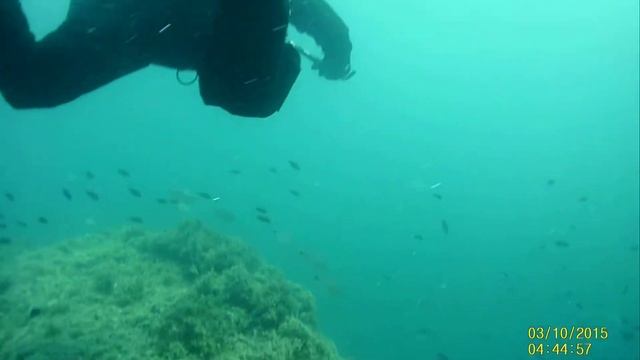 Якорная банка. Геленджик 18.08.2020 смотреть онлайн