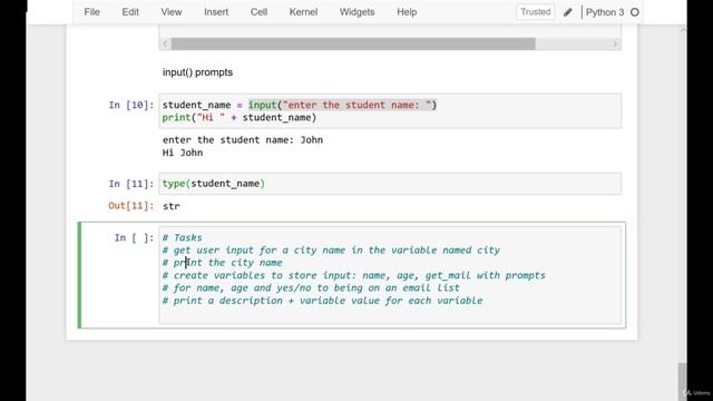 [Udemy] Master Python: Beginner to Pro with Hands-on Coding Tasks [Vitalii Shumylo] [en] - part1