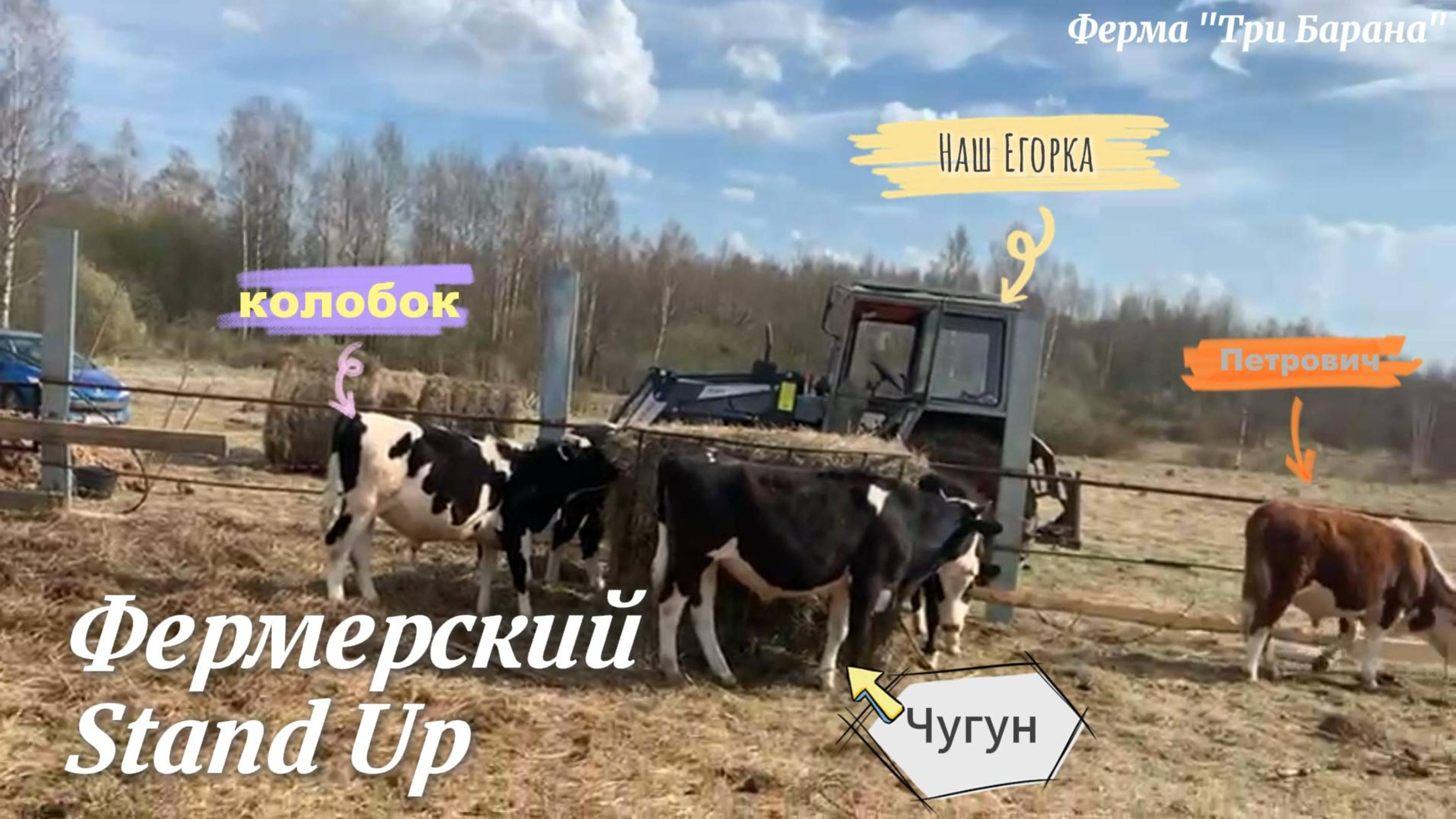 Фермерский Stand Up