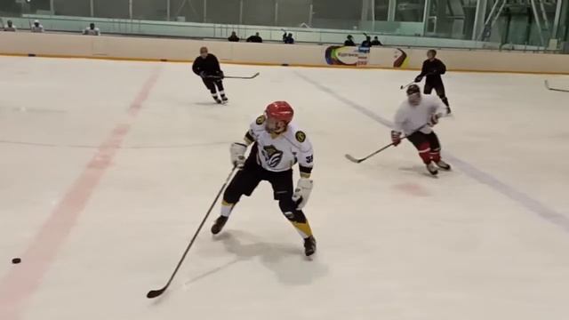 201228 Новогодняя игра ЛХС Энтузиаст