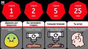 Что, если ты смылся в унитаз