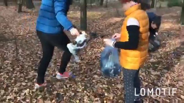 Корнадь.Волонтеры смотреть онлайн