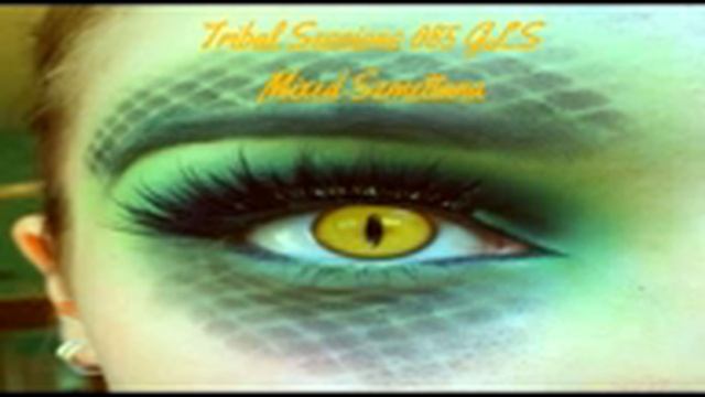 Tribal Sessions 085 GLS Mixed Szmettana смотреть онлайн