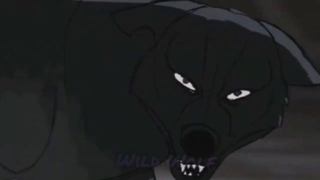 Волк/Wolf [Edit] смотреть онлайн