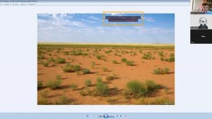 Пустыни и полупустыни. 8 класс