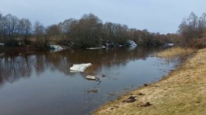 Тихвинка. Весна.