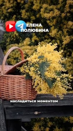 СТРЕМЛЕНИЕ К ОДИНОЧЕСТВУ - Базовая настройка  💛
