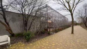 Люська бросила Джоника и отправилась на папе Владике домой к малышам)))