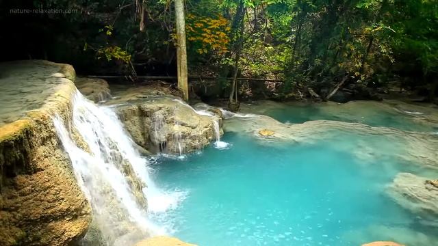 Waterfall  Jungle Sounds Relaxing Tropical Rainforest Nature Video Singing Birds Ambience