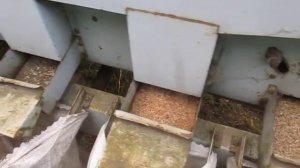 Чистка зерна в полевых условиях Petkus K531 Gigant