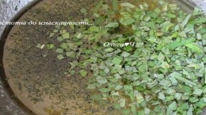 Постное печенье Мохито