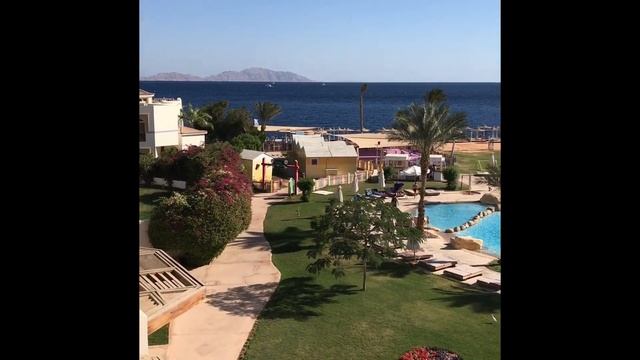 Обзор отеля Otium Amphoras смотреть онлайн