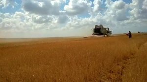 Жатка очесывающая Эффекта-7,2м.