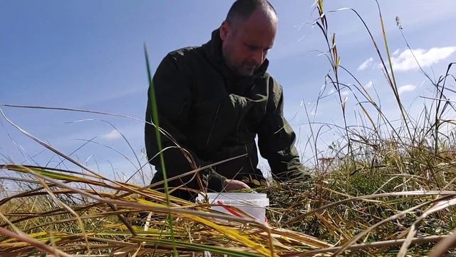 Витамины осени,собираем клюкву. смотреть онлайн