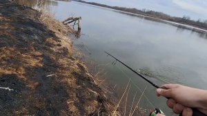 рыбалка на Оке ловля судака
