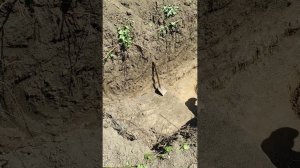 Купили участок на юге. Делаем септик.