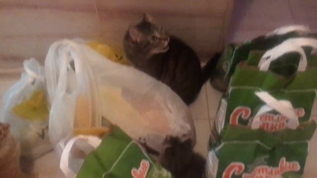 Только мальчики проверяют покупки смотреть онлайн