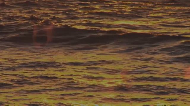 Noveller - Ends смотреть онлайн