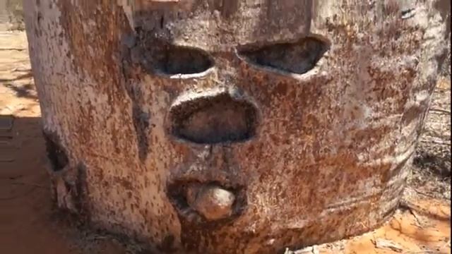 Мадагаскар Баобабы в Мангили Баобаб показывает языка смотреть онлайн