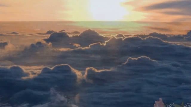 Черные птицы! смотреть онлайн