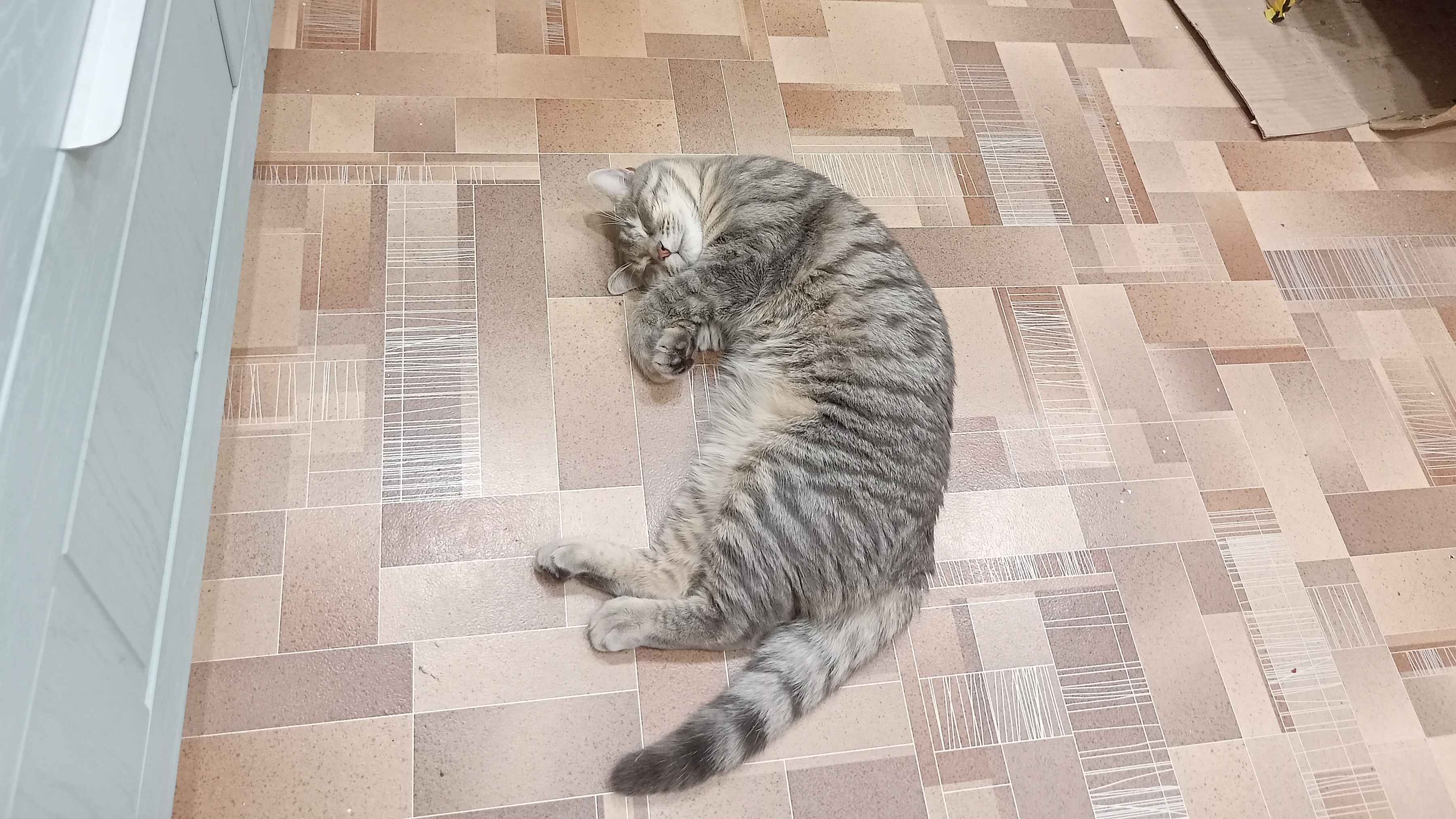 моя деревня