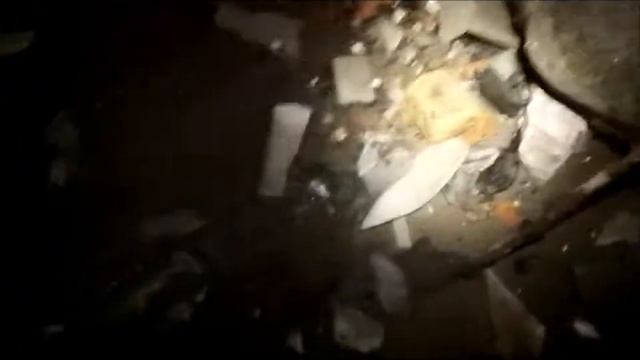 Mudlarking the River Thames, The OXO Tower with a surprise guest. смотреть онлайн